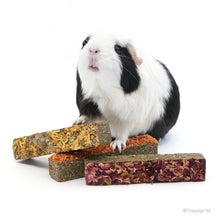 Load image into Gallery viewer, BUNDLE OFFER: Gnaw 'n' Nibble Boredom Breaker Bundle