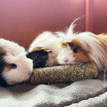 Load image into Gallery viewer, Rosewood Naturals Pea ‘n’ Mint Rollers - Pack of 2