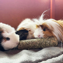 Load image into Gallery viewer, Rosewood Naturals Pea ‘n’ Mint Rollers - Pack of 2