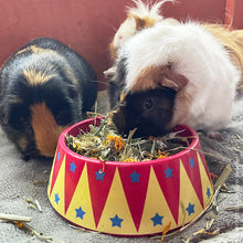 Load image into Gallery viewer, Rosewood Naturals Fields Of Gold 350g - XL