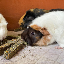 Load image into Gallery viewer, Rosewood Naturals Luxury 7-Herb Bars (7pc) 80g