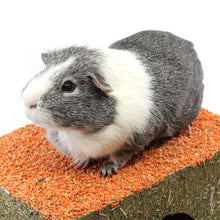 Load image into Gallery viewer, Rosewood Naturals Carrot Cottage - Medium