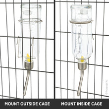 Load image into Gallery viewer, Trixie Water Bottle - Medium (250ml)