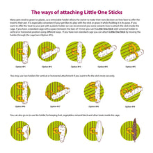Load image into Gallery viewer, Little One Sticks with Fruit (2 Pack)