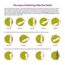 Load image into Gallery viewer, Little One Sticks with Meadow Grass (2 Pack)