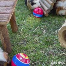 Load and play video in Gallery viewer, HayPigs!® Circus Treat Ball™ - 3-in-1 Enrichment Toy
