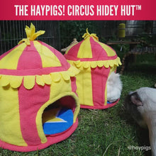 Load and play video in Gallery viewer, HayPigs!® Circus Hidey Hut™ - Fleece Hidey Hut
