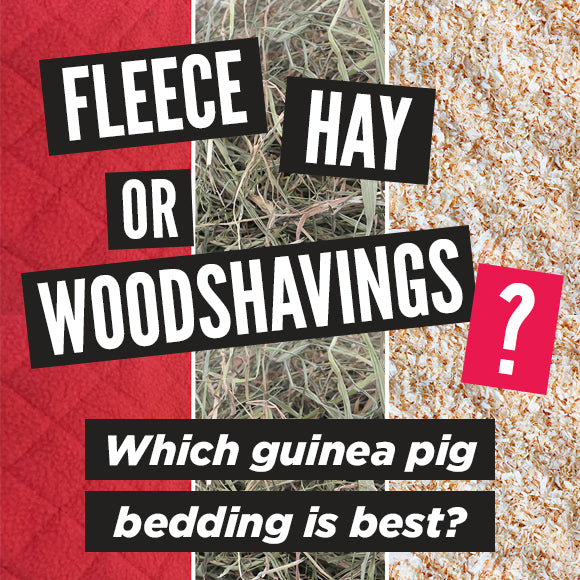 Fleece, hay or woodshavings: which guinea pig bedding is best?