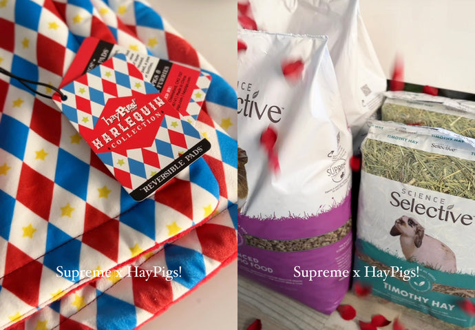 Supreme x HayPigs!® Valentine’s Giveaway - T&Cs