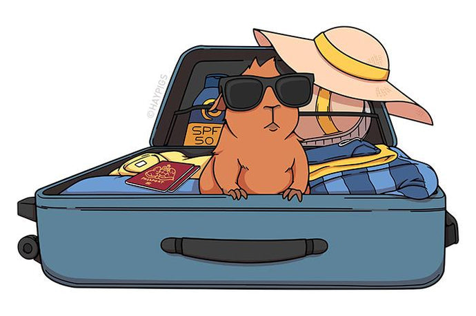 What to do with your guinea pigs when you go on holiday!