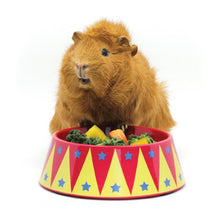 Load image into Gallery viewer, HayPigs!® Food Craving Tamer™ - Small Animal Food Bowl
