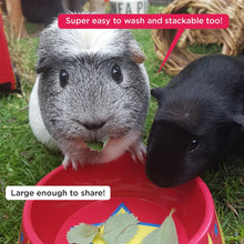 Load image into Gallery viewer, HayPigs!® Food Craving Tamer™ - Small Animal Food Bowl - Lifestyle Image
