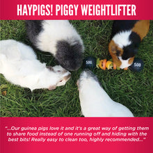 Load image into Gallery viewer, HayPigs!® Piggy Weightlifter™ - Vegetable Kebab Maker
