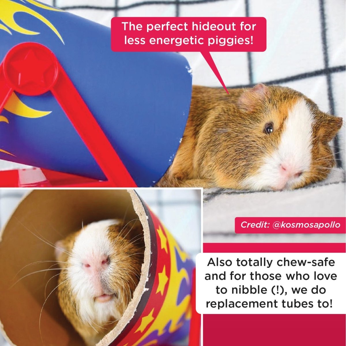 HayPigs!® Cavy Cannonball™ Tilting Tunnel – HAYPIGS