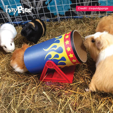 Load image into Gallery viewer, HayPigs!® Cavy Cannonball™ - Tilting Tunnel
