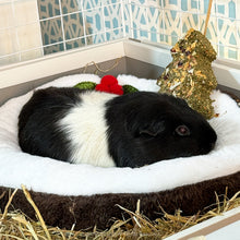 Load image into Gallery viewer, Rosewood Festive Fruit Tree 140g
