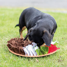 Load image into Gallery viewer, Rosewood Cupid &amp; Comet Pudding Snuffle Forage Mat
