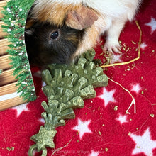 Load image into Gallery viewer, Rosewood Cupid &amp; Comet Veggie Burst Santa &amp; Tree Duo Gnaw Treats

