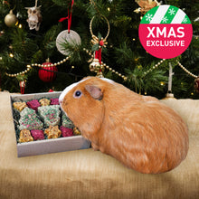 Load image into Gallery viewer, Rosewood Naturals Festive Cookies Forage Treat Tray
