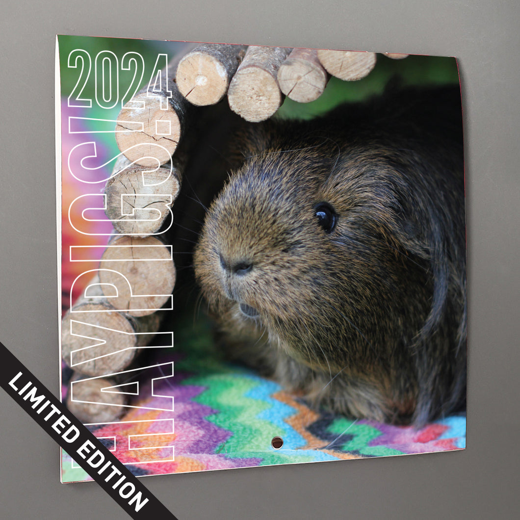 HayPigs!® Official 2024 Guinea Pig Calendar