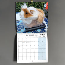 Load image into Gallery viewer, HayPigs!® Official 2024 Guinea Pig Calendar
