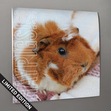 Load image into Gallery viewer, HayPigs!® Official 2025 Guinea Pig Calendar
