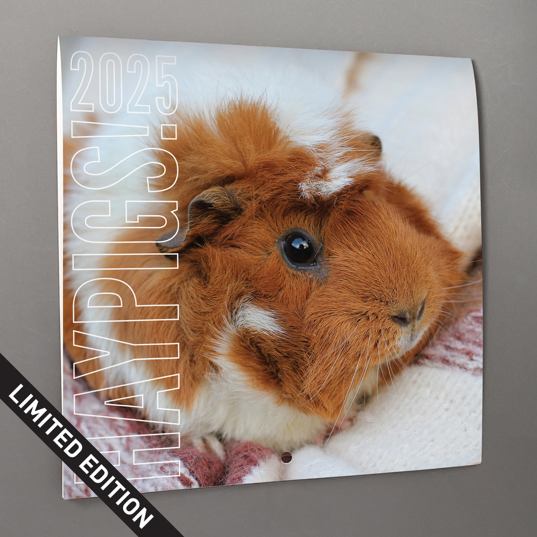 HayPigs!® Official 2025 Guinea Pig Calendar