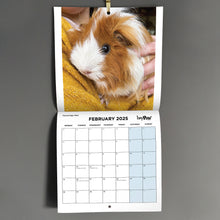 Load image into Gallery viewer, HayPigs!® Official 2025 Guinea Pig Calendar
