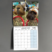 Load image into Gallery viewer, HayPigs!® Official 2025 Guinea Pig Calendar
