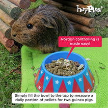 Load image into Gallery viewer, BUNDLE OFFER: The HayPigs!® Guinea Pig Circus™ range - FEEDING SET
