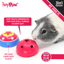 Load image into Gallery viewer, HayPigs!® Circus Treat Ball™ - 3-in-1 Enrichment Toy
