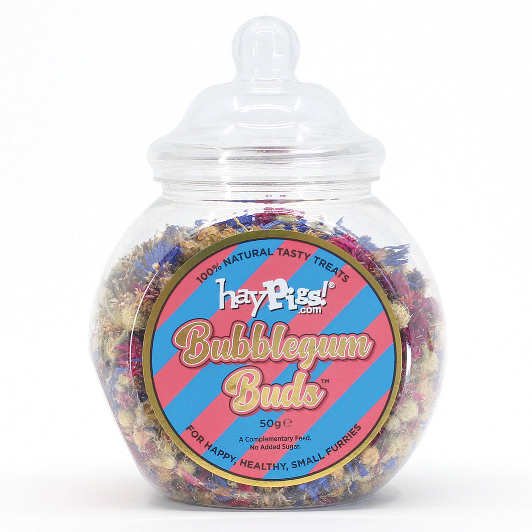 HayPigs!® Bubblegum Buds™ (50g) in Small Collectors Jar