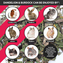 Load image into Gallery viewer, HayPigs!® Dandelion &amp; Burdock™ (150g) in Eco Refill Bag
