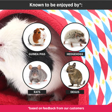 Load image into Gallery viewer, HayPigs!® Harlequin Collection - Tunnel and Hideout™
