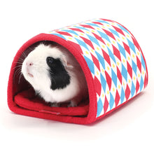 Load image into Gallery viewer, HayPigs!® Harlequin Collection - Tunnel and Hideout™
