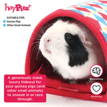 Load image into Gallery viewer, HayPigs!® Harlequin Collection - Tunnel and Hideout™
