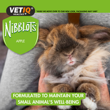 Load image into Gallery viewer, VetIQ Nibblots Treats for Small Animals - Apple 30g
