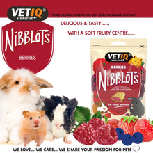 Load image into Gallery viewer, VetIQ Nibblots Treats for Small Animals - Berries 30g
