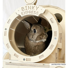 Load image into Gallery viewer, The Binky Express - Train Locomotive Rabbit Hide
