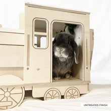 Load image into Gallery viewer, The Binky Express - Train Locomotive Rabbit Hide
