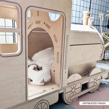 Load image into Gallery viewer, The Binky Express - Train Locomotive Rabbit Hide
