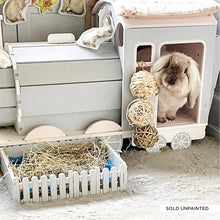 Load image into Gallery viewer, The Binky Express - Train Locomotive Rabbit Hide
