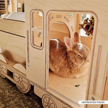 Load image into Gallery viewer, The Binky Express - Train Locomotive Rabbit Hide
