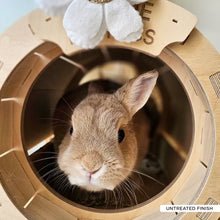 Load image into Gallery viewer, The Binky Express - Train Locomotive Rabbit Hide
