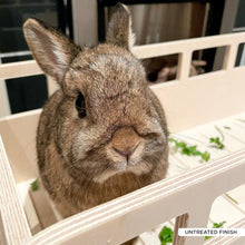 Load image into Gallery viewer, The Wimblebun Bus - Double-Decker Bus Rabbit Hide
