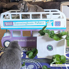 Load image into Gallery viewer, The Wimblebun Bus - Double-Decker Bus Rabbit Hide
