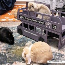 Load image into Gallery viewer, The Wimblebun Bus - Double-Decker Bus Rabbit Hide
