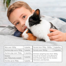 Load image into Gallery viewer, Beaphar Anti-Parasite Spot On for Rabbit and Guinea Pigs
