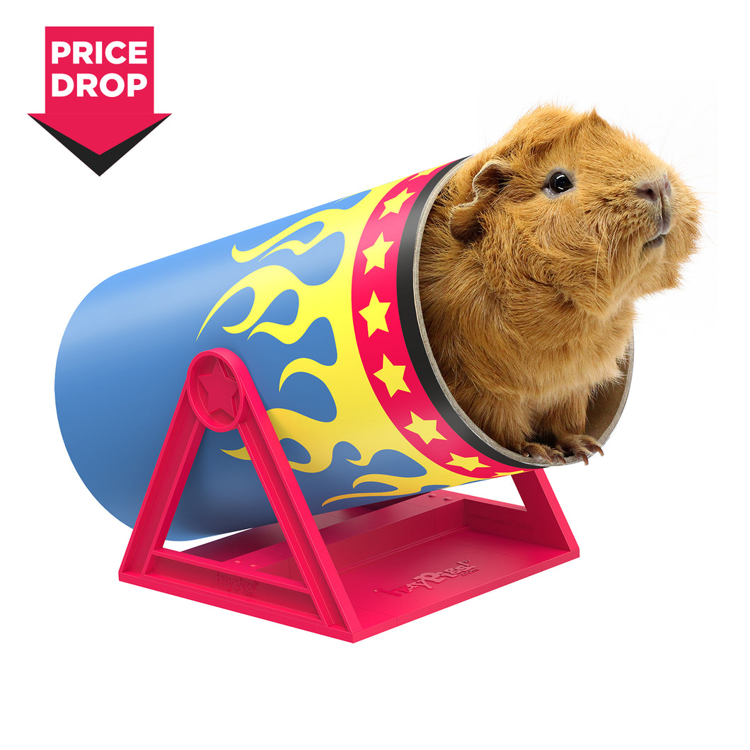 HayPigs!® Cavy Cannonball™ - Tilting Tunnel