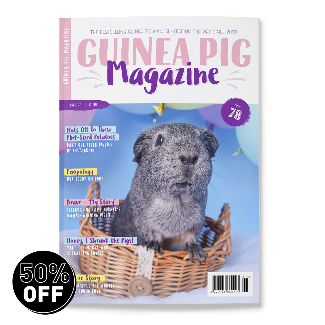 Guinea Pig Magazine - Issue 78 (Jan / Feb 2024)